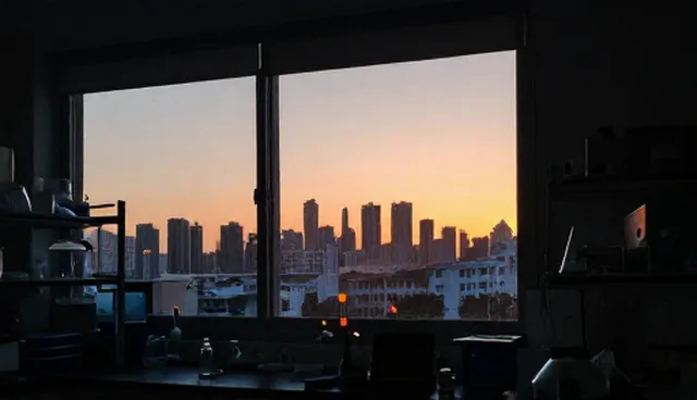 广告投放中企业名录数据库的选型关注点